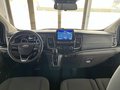 Daumennagel 8 - Ford Tourneo Custom L1 Titaniu