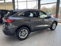 Daumennagel 6 - Ford Kuga Titanium AHK schw. + Fahrerassistenz