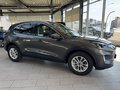 Daumennagel 7 - Ford Kuga Titanium AHK schw. + Fahrerassistenz