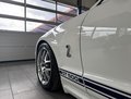 Daumennagel 3 - Ford Mustang Shelby GT 500 SVT