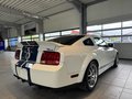 Daumennagel 4 - Ford Mustang Shelby GT 500 SVT