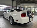 Daumennagel 2 - Ford Mustang Shelby GT 500 SVT