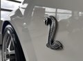 Daumennagel 8 - Ford Mustang Shelby GT 500 SVT