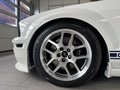 Daumennagel 9 - Ford Mustang Shelby GT 500 SVT