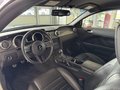 Daumennagel 10 - Ford Mustang Shelby GT 500 SVT