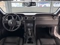 Daumennagel 12 - Ford Mustang Shelby GT 500 SVT