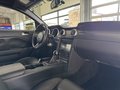 Daumennagel 13 - Ford Mustang Shelby GT 500 SVT
