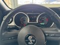 Daumennagel 11 - Ford Mustang Shelby GT 500 SVT