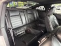 Daumennagel 16 - Ford Mustang Shelby GT 500 SVT