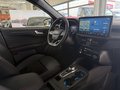 Daumennagel 15 - Ford Kuga PHEV Plug-In Hybrid ST-Line X