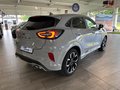 Daumennagel 4 - Ford Puma  ST-Line X + ACC + LED