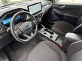 Daumennagel 9 - Ford Kuga PHEV Plug-In Hybrid ST-Line + Matrix + Pano