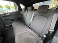 Daumennagel 13 - Ford Kuga PHEV Plug-In Hybrid ST-Line + Matrix + Pano