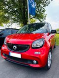 Daumennagel 2 - Smart forfour Basis