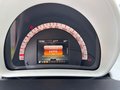 Daumennagel 11 - Smart forfour Basis