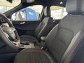 Daumennagel 7 - Ford Kuga PHEV Plug-In Hybrid ST-Line X