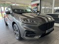 Daumennagel 8 - Ford Kuga PHEV Plug-In Hybrid ST-Line X