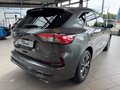 Daumennagel 5 - Ford Kuga PHEV Plug-In Hybrid ST-Line X