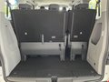 Daumennagel 12 - Ford Tourneo Custom 320 L1 Trend FWD