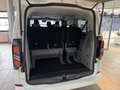 Daumennagel 15 - Ford Tourneo Custom L1 Titanium ACC + AHK + Leder