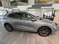 Daumennagel 4 - Ford Kuga PHEV Plug-In Hybrid ST-Line X + AHK + ACC