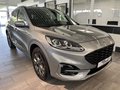 Daumennagel 5 - Ford Kuga PHEV Plug-In Hybrid ST-Line X + AHK + ACC