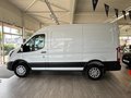Daumennagel 2 - Ford Transit Kasten 350 L2 Limited