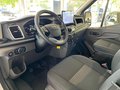 Daumennagel 10 - Ford Transit Kasten 350 L2 Limited