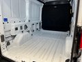 Daumennagel 13 - Ford Transit Kasten 350 L2 Limited