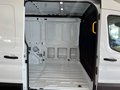 Daumennagel 12 - Ford Transit Kasten 350 L2 Limited
