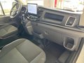 Daumennagel 8 - Ford Transit Kasten 350 L2 Limited