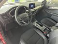 Daumennagel 7 - Ford Kuga  Plug-In Hybrid Titanium X