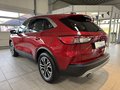 Daumennagel 2 - Ford Kuga PHEV Plug-In Hybrid Titanium X