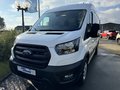 Daumennagel 4 - Ford Transit Kasten 350 L3 Trend