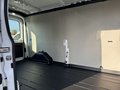 Daumennagel 8 - Ford Transit Kasten 350 L3 Trend