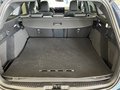 Daumennagel 10 - Ford Focus Turnier ST-Line X