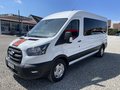 Daumennagel 1 - Ford Transit Kombi 350 L3 Trend Behindertengerecht