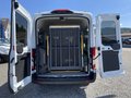 Daumennagel 4 - Ford Transit Kombi 350 L3 Trend Behindertengerecht
