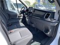 Daumennagel 10 - Ford Transit Kombi 350 L3 Trend Behindertengerecht