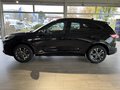 Daumennagel 2 - Ford Kuga PHEV Plug-In Hybrid ST-Line