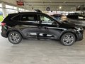 Daumennagel 5 - Ford Kuga PHEV Plug-In Hybrid ST-Line