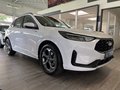 Daumennagel 4 - Ford Kuga FHEV Hybrid ST-Line