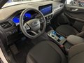 Daumennagel 7 - Ford Kuga FHEV Hybrid ST-Line