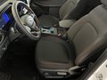 Daumennagel 8 - Ford Kuga FHEV Hybrid ST-Line