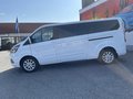 Daumennagel 2 - Ford Tourneo Custom L2 Titanium RFK + Bi-Xenon