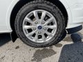 Daumennagel 6 - Ford Tourneo Custom L2 Titanium RFK + Bi-Xenon