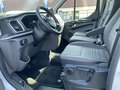 Daumennagel 7 - Ford Tourneo Custom L2 Titanium RFK + Bi-Xenon
