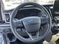 Daumennagel 8 - Ford Tourneo Custom L2 Titanium RFK + Bi-Xenon