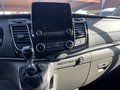 Daumennagel 9 - Ford Tourneo Custom L2 Titanium RFK + Bi-Xenon