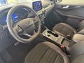 Daumennagel 11 - Ford Kuga ST-Line X Fahreras. + Styling + Technologie